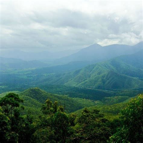 Cairns On A Budget See It All On Our Fantastic Cairns Package