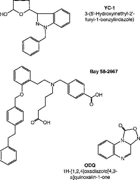 Figure 2 From This Review Is Part Of A Thematic Series On Cyclic Gmp