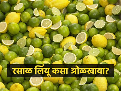 महागडे लिंबू विकत आणता पण त्यातून रसच निघत नाही ४ ट्रिक्स रसाळ लिंबू विकत आणण्याची खास ट्रिक