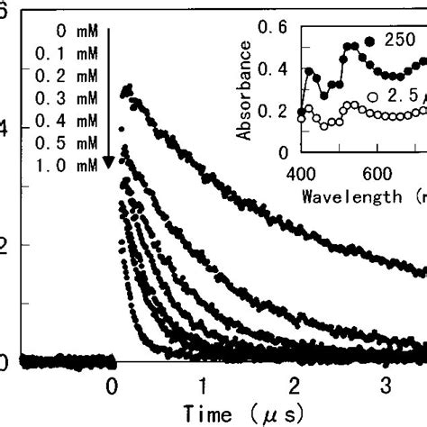 First Order Decay Analysis To The Absorption Of Triplet Mk At Nm In