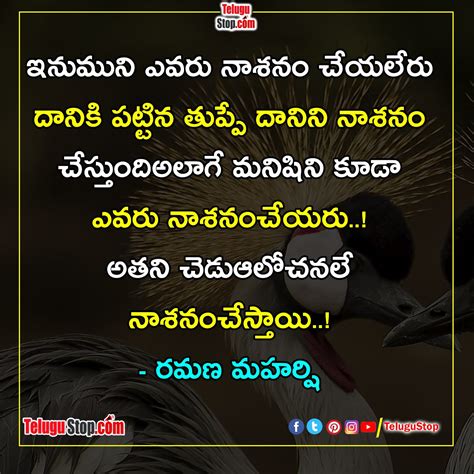 Ramana Maharshi Quotes In Telugu Pin By Sreevenireddy On Quotes