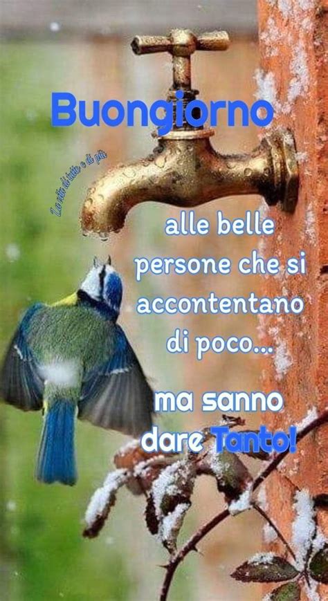 Pin By Angelo Trevisan On Buongiorno E Frasi In Buongiorno