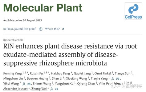 Mol Plant 南京农业大学沈其荣院士团队揭示rin基因驱动根际免疫形成机制 知乎