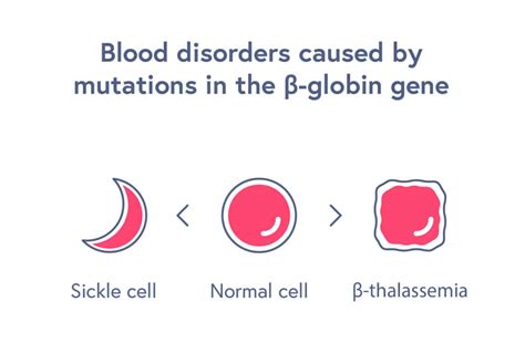 Hemoglobinopathies | CRISPR Therapeutics