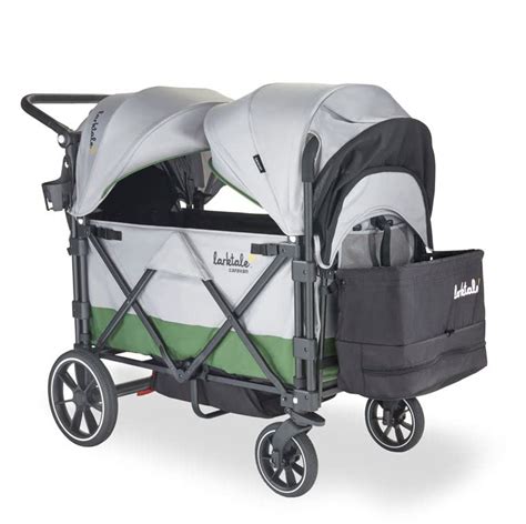 Caravan 200 Lbs Capacity Double Seater Collapsible