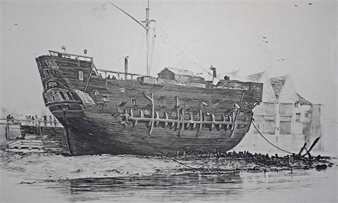 Sex V Gor Av Inflyttning Efter Istiden Forskning Framsteg