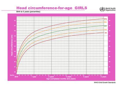 Who Head Circumference Growth Chart