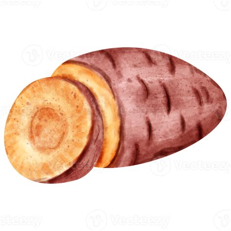 Watercolor Sweet Potato 23323697 Png