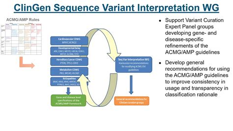 Acmg Guidelines Elsey Betteanne