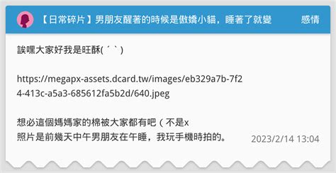 【日常碎片】男朋友醒著的時候是傲嬌小貓，睡著了就變撒嬌狗狗 感情板 Dcard