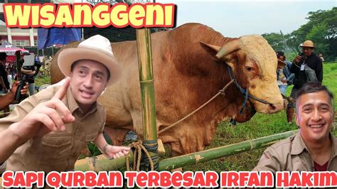 Wisanggeni Sapi Qurban Terbesar Irfan Hakim Youtube