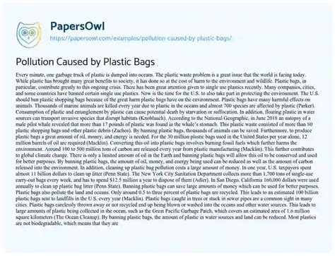 Pollution Caused By Plastic Bags Free Essay Example 1748 Words