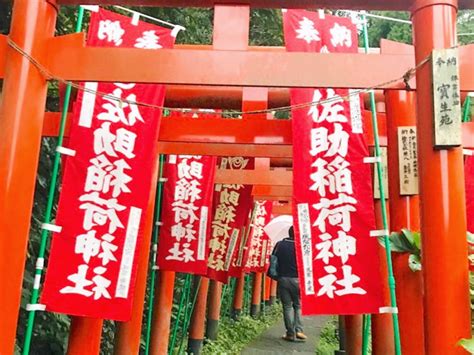 赤い鳥居が連なる、全国の美しい神社5選！