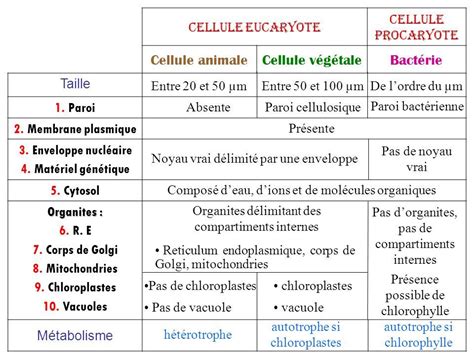 La Cellule Tableau Comparatif Cellule Eucaryote Cellule Procaryote