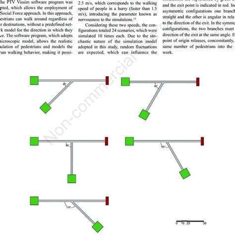 Asymmetric Scenarios Download Scientific Diagram