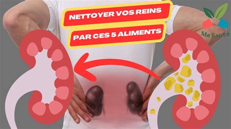 Aliments Pour Nettoyer Les Reins Insuffisance R Nale N Phrologie