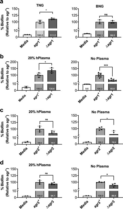 Strain And Condition Dependence Of Agr Biofilm Enhancement In Vitro