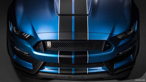 2016 Ford Mustang Shelby GT350R - Grill | HD Wallpaper #8 | 1920x1080