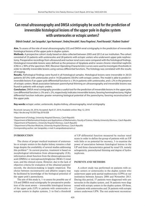 Pdf Can Renal Ultrasonography And Dmsa Scintigraphy Be Used Dokumen