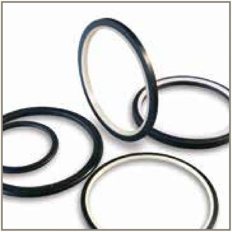 Double Piston Seal Parker Seals Profiles 1