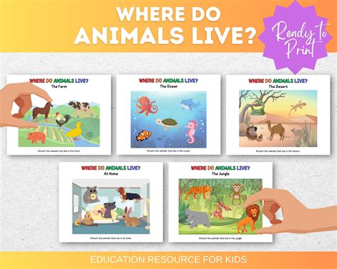 Animals Activity Sheets Kids Where Do Animals Live Toddler Activities