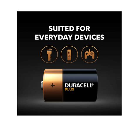 Duracell Plus Power D 2 Pack Makro