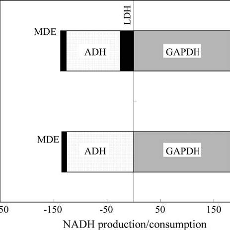 Comparison Between The Ratios Of Gene Expressions Enzyme Activities