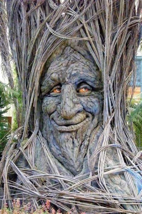 Tree With Smiling Face Funny Image | Weird trees, Tree art, Tree faces