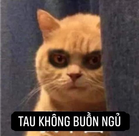 Bùn Ngủ Cute Memes Memes Funny Memes