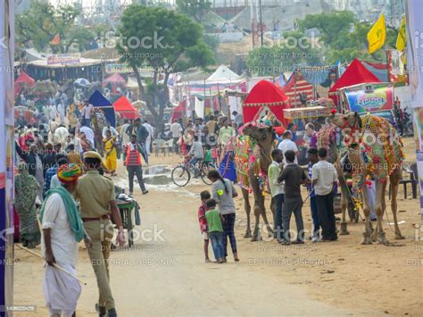 Indias Biggest Cattle And Culture Fair Pushkar Camel Fair Village People Visiting Stalls Doing