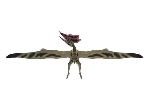 Wingspan of a Thalassodromeus pterosaur Our beautiful Wall Art and ...