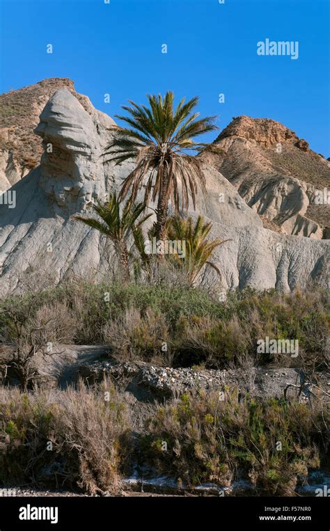 Natural Spot Tabernas Desert Almeria Province Region Of Andalusia