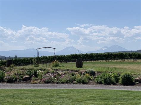 Faith Hope And Charity Vineyards Updated August 2024 209 Photos And 69 Reviews 70450 Nw Lowr