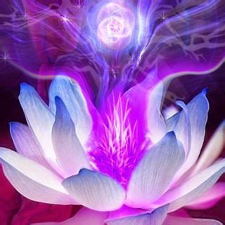 Meditación con el Rayo Violeta Flor da vida Mestres ascensionados