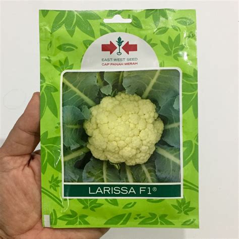 Jual Benih Bibit Kembang Bunga Kol LARISSA F1 Cap Panah Merah SP