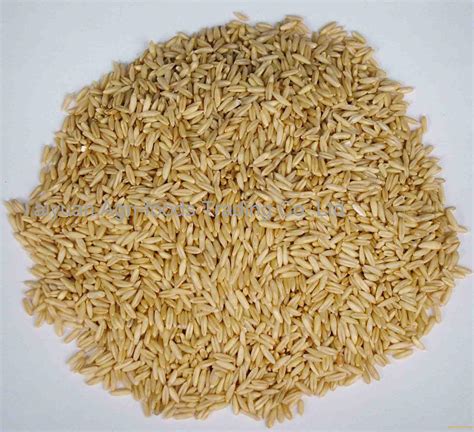 Hulled Oat China Price Supplier Food