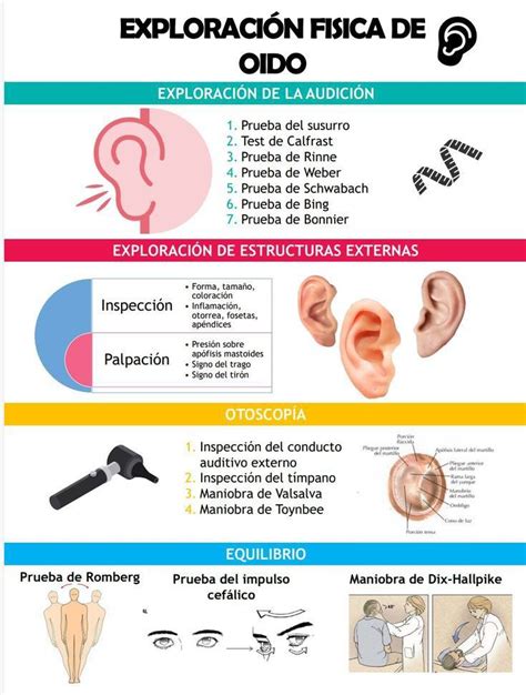 Exploraci N Oido Cosas De Enfermeria Escuelas De Medicina Anatom A