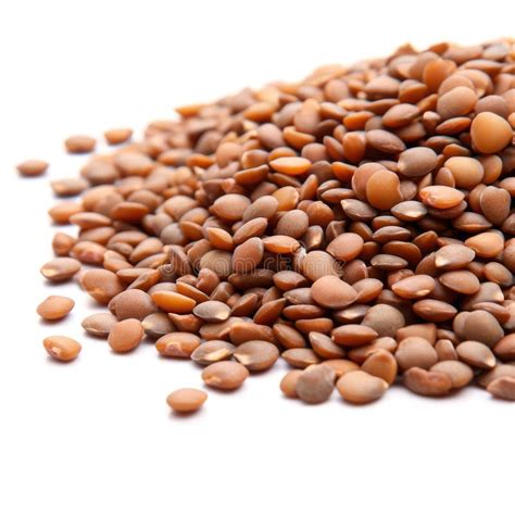 Lentils Texture Stock Illustrations Lentils Texture Stock