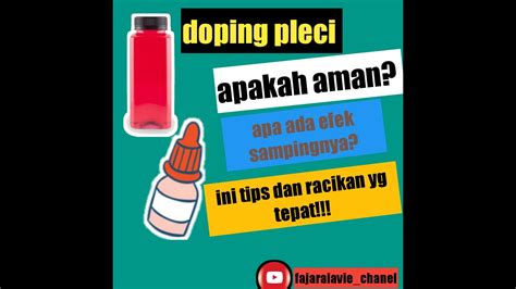 Kupas Tuntas Doping Pleci Dan Racikan Takaran Yang Pass Youtube