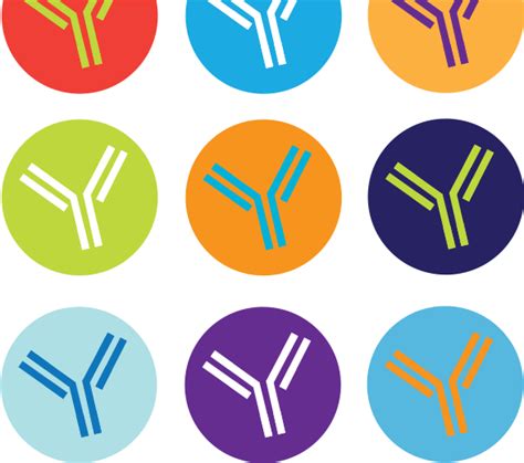 Antibody Library Packs Clipart Full Size Clipart 2228393 Pinclipart