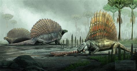 Dimetrodon | Paleontology Wiki | Fandom