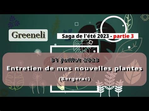 Saga 3 Rempotage Et Bouturage De Mes Nouvelles Plantes Juillet 2023