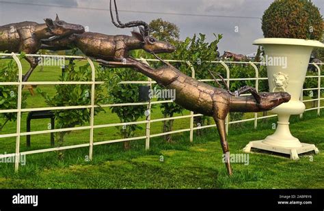 Deer Sculpture At The British Ironwork Centre And Shropshire Sculpture