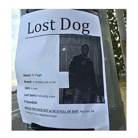 a lost dog sign posted on a pole