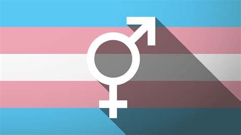 O que é: cisgênero, transgênero, homem cis e mulher cis?