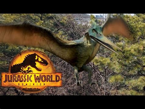 Pteranodon Jurassic Park