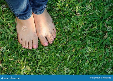 Bare foot on green grass stock image. Image of barefoot - 67811535