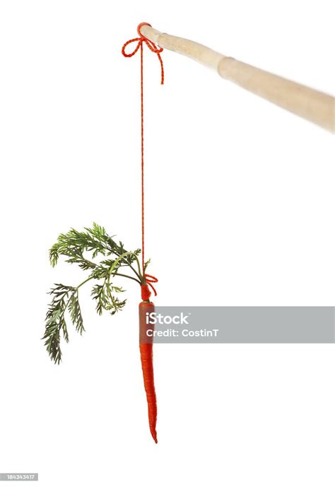 Carrot On A Stick Concept Stock Photo Download Image Now Carrot