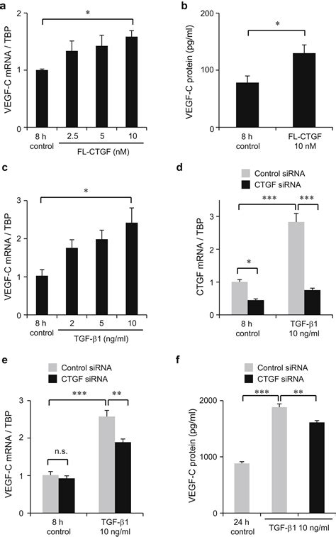 Connective Tissue Growth Factor Regulates Fibrosis Associated Renal