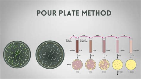 Pour Plate Method Byju's at Berniece Decastro blog